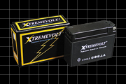 XT4B-5�摜�P�i���j