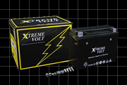 XTX24HL-BS�摜�P�i���j